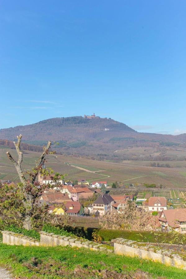 Gite La Rodernelle - Sauna Privatif - Climatisation - Vue Sur Le Chateau Du Haut Koenigsbourg Екстер'єр фото