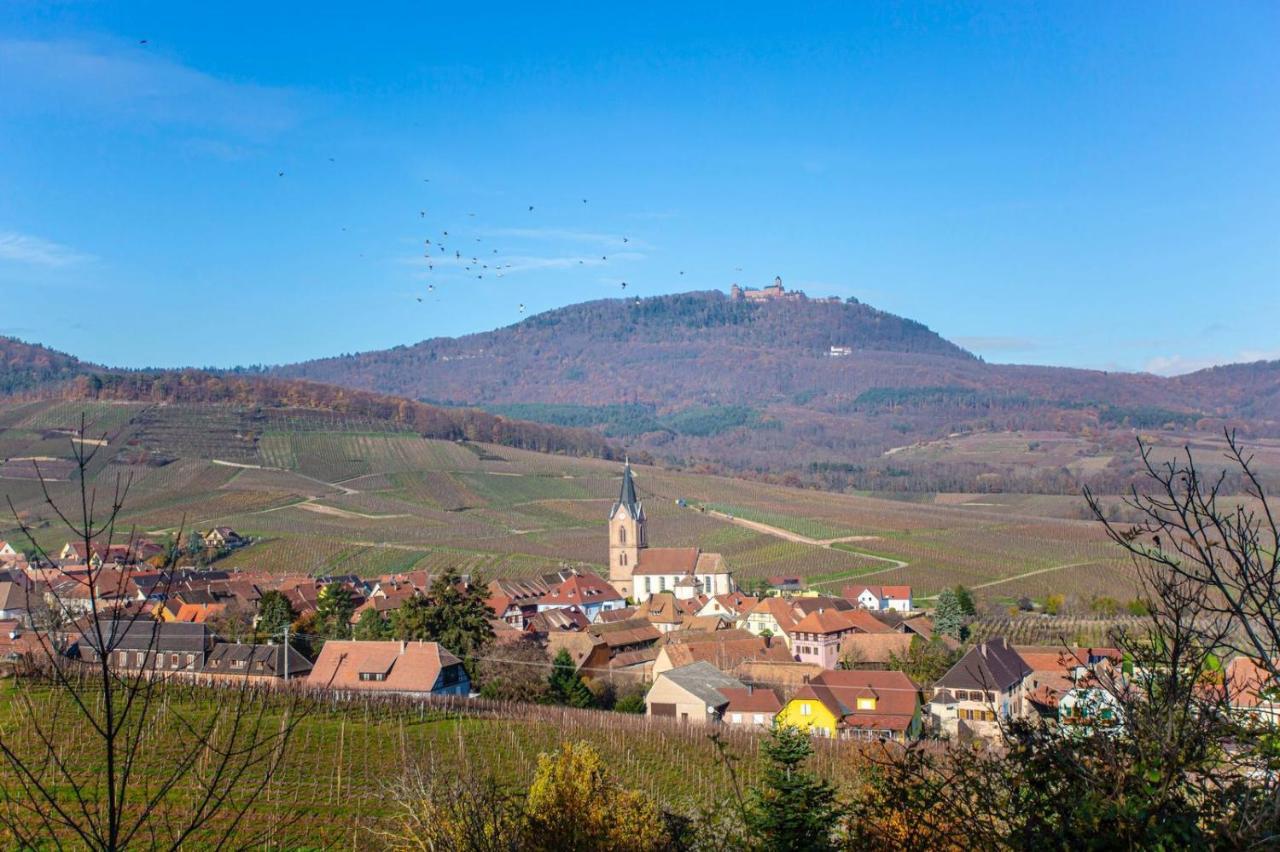 Gite La Rodernelle - Sauna Privatif - Climatisation - Vue Sur Le Chateau Du Haut Koenigsbourg Екстер'єр фото
